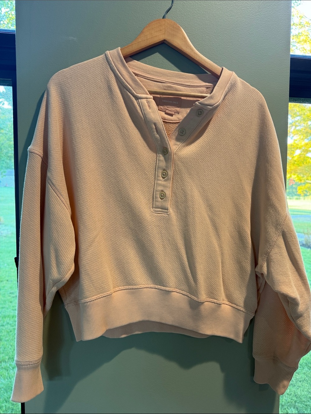 American Eagle Outfitters Cropped Henley Sweatshirt in Blush